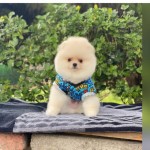 Buse profil fotoğrafı