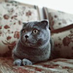 Ulaş Akdemir profil fotoğrafı