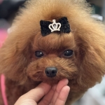 Serap Onbaşı profil fotoğrafı