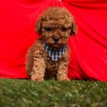 MAHİR KAYA profil fotoğrafı