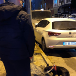 Emir Yılmaz profil fotoğrafı