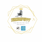 Turkishpuppy profil fotoğrafı