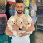 GÜRKAN ÖZYURT profil fotoğrafı