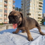 Nisa kütük profil fotoğrafı