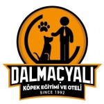Şaban çamur profil fotoğrafı