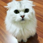 Nazan çeküç profil fotoğrafı