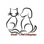 EVCİLPETDUNYASİ profil fotoğrafı