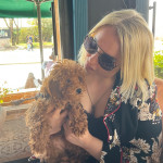 Toypoodle baileys profil fotoğrafı