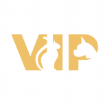 vip_pati profil fotoğrafı