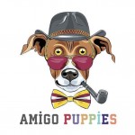 Amigo Puppies profil fotoğrafı
