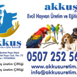 AKKUŞ ÜRETİM ÇİFTLİĞİ profil fotoğrafı