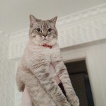 Eren Uslu profil fotoğrafı