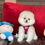 Doğukan Salman profil fotoğrafı