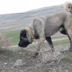 Hasan erdem profil fotoğrafı