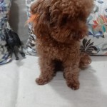 Aybars profil fotoğrafı