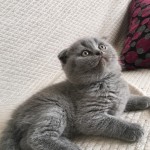 Ömer ozan oktay profil fotoğrafı