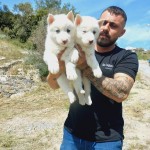 Tayfun BAYRAK profil fotoğrafı