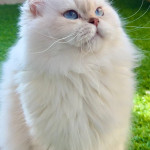 Ünal Erbaş profil fotoğrafı
