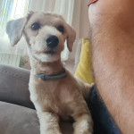 Samet yıldırım profil fotoğrafı