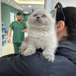 Burhan yol profil fotoğrafı