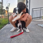Berkay şimşek profil fotoğrafı