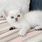 Erkan Çavuş profil fotoğrafı