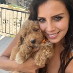 Gülşen Sevilmiş profil fotoğrafı