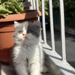 Erhan Can profil fotoğrafı