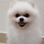 DENİZ KARATAŞ profil fotoğrafı