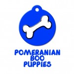 pompuppies profil fotoğrafı