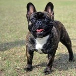 Ercan Durmuş profil fotoğrafı