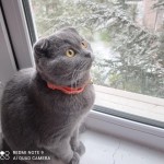 Eylül Karul profil fotoğrafı