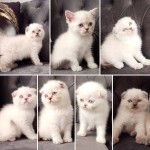 Umahan Güney profil fotoğrafı