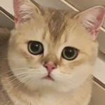Cihan Çoban profil fotoğrafı