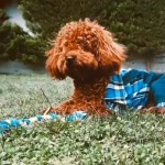Esila  profil fotoğrafı