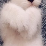 Sinem akca profil fotoğrafı