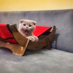 Burak çavuş  profil fotoğrafı