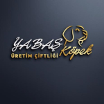 Yabaş köpek çiftliği profil fotoğrafı