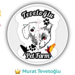 Murat Tevetoğlu profil fotoğrafı