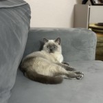 İlker ky profil fotoğrafı