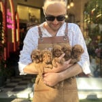 Sami Yılmaz profil fotoğrafı