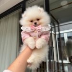 Rüya Sezer profil fotoğrafı