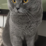 Mehmet Ali Tekin profil fotoğrafı
