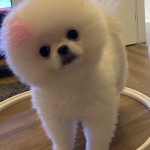 Gizem Küçük profil fotoğrafı