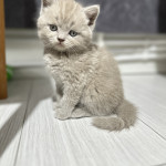 Hakan karavin profil fotoğrafı