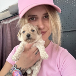 Bursa Köpek Okulu profil fotoğrafı