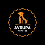 İstanbul puppies profil fotoğrafı