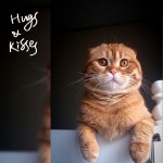 Rumeysa yıldız profil fotoğrafı