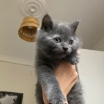 HİDAYET GÖNÜLLÜ profil fotoğrafı