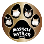 MASKELİ PATİLER CATTERY profil fotoğrafı
